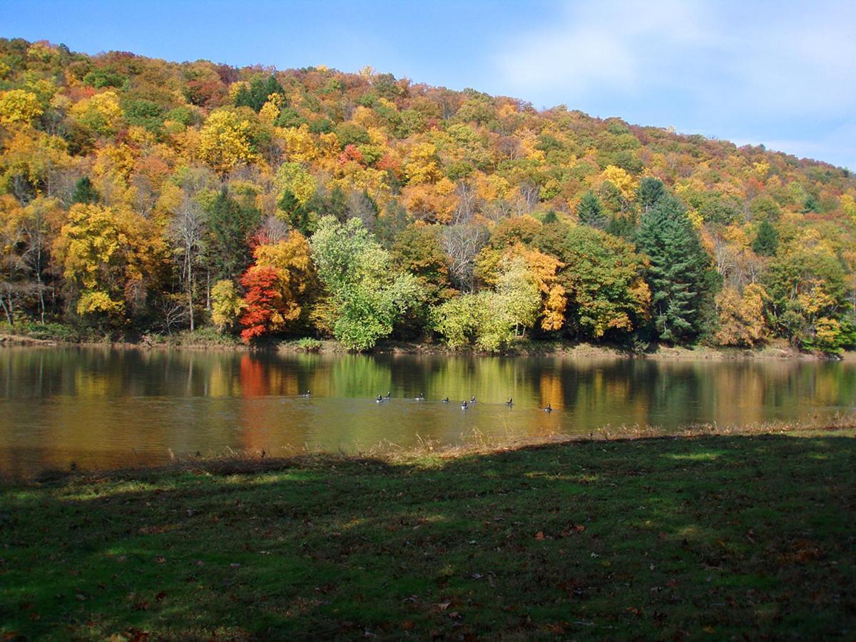 Spacious Home With Deck, Grill And Delaware River View Callicoon Exterior foto